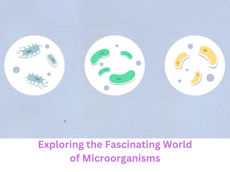 Microorganisms